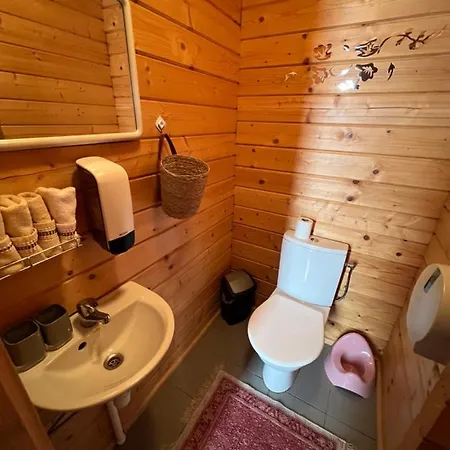 A House With A Sauna At Arturs Holiday home