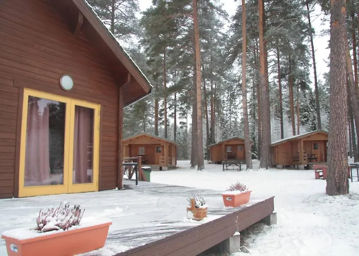 펜션 A House With A Sauna At Arturs