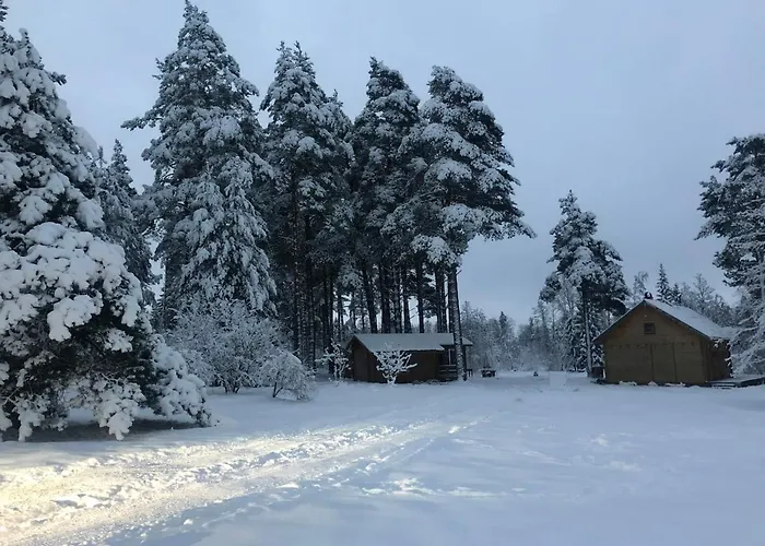 A House With A Sauna At Arturs 펜션 Romeda